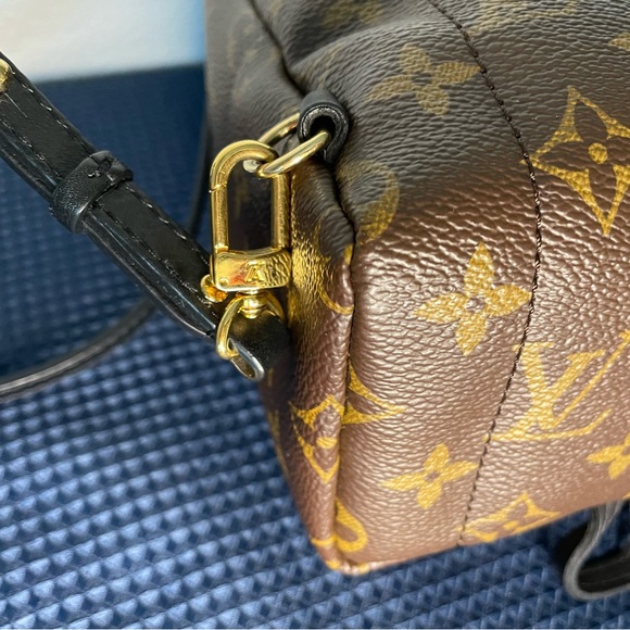 Louis Vuitton Palms Springs mini - Picture 9 of 15